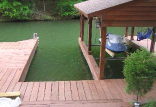 Boat Slip for Guest's Use